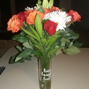 Meet your Posher, Patricia